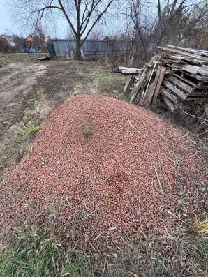 керамзит