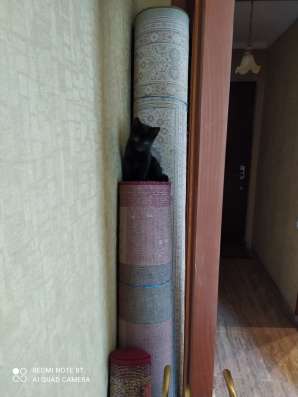 Отдам в хорошие руки