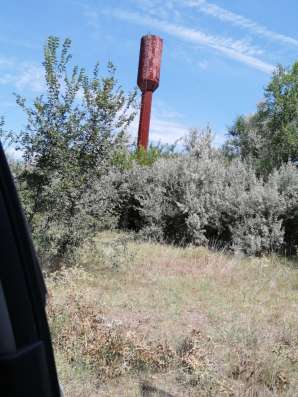 Участок в окружении леса в Керчи фото 3