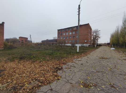 База на берегу Волги в Саратове фото 3