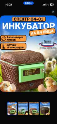 Инкубатор