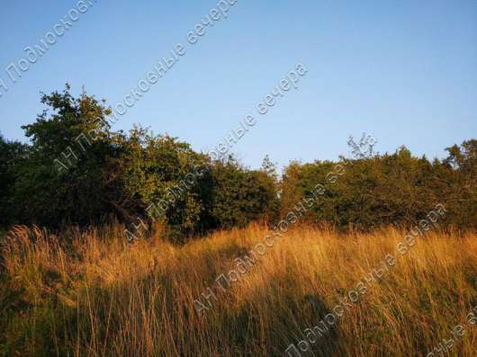 realty_mapper3.plot_in_locationПлощадь 6.00 сот.Есть Электричество, Газ. в Москве фото 5