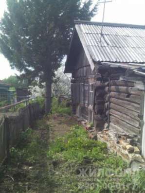 дом, Новосибирск, Дубравы, 44 кв.м. в Новосибирске фото 7