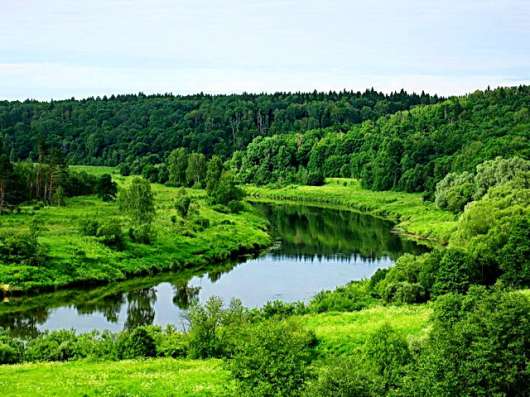 Земля в заповедных местах в Москве фото 7
