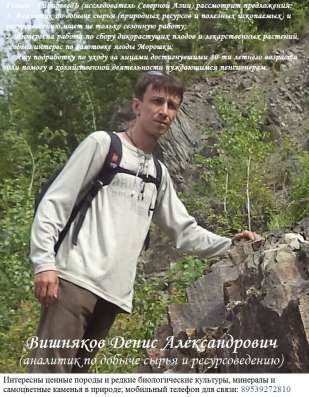 Таёжный подрядчик (заготовитель)