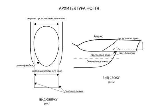 Супер-скидки на обучение