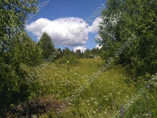 realty_mapper3.plot_in_locationСадовое некоммерческое тов-во. Площадь 12.54 сот.Есть Электричество. в Москве фото 3