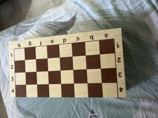 шашки