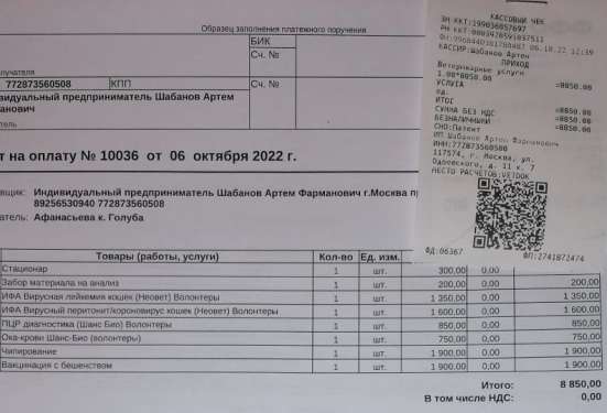 Сос! Кошечку выкинули на улицу в Москве
