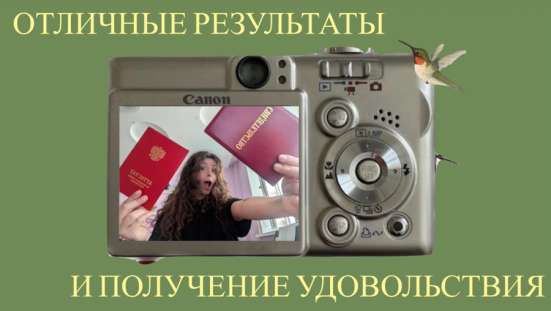 Репетитор по литературе ОГЭ в Жуковском фото 4