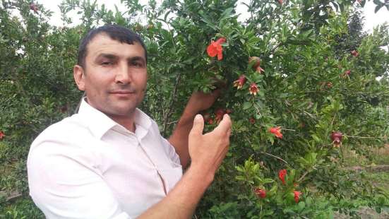 RAFO, 49 лет, хочет пообщаться