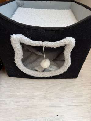 Домик кота