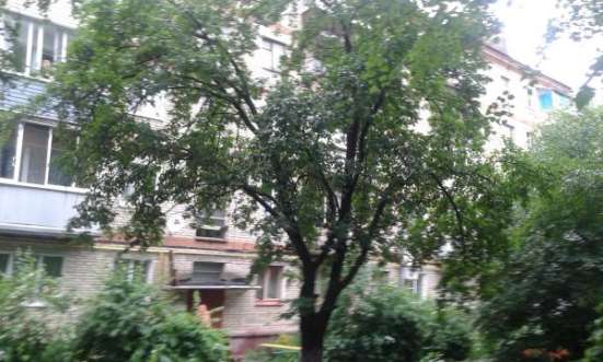 комнату в 2-х комн. кв-ре в Чехове фото 10