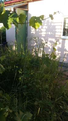 Продам ухоженный участок ИЖС в Симферополе фото 18