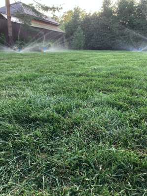 Укладка рулонного газона под ключ в Истре фото 5