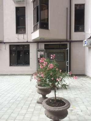 Продам квартиру в Сочи в Сочи фото 3
