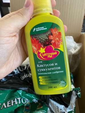Набор для кактусов в Москве фото 8