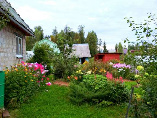 Продам дачный участок в Санкт-Петербурге фото 10