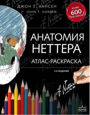 Анатомия Неттера