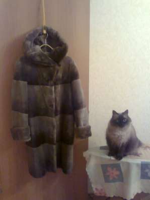 Шуба бобр стриженный