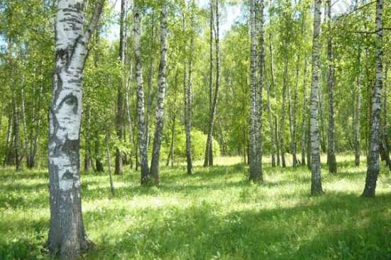 Продам трехкомнатную квартиру в Красногорске. Жилая площадь 85 кв.м. Дом кирпичный. Есть балкон.