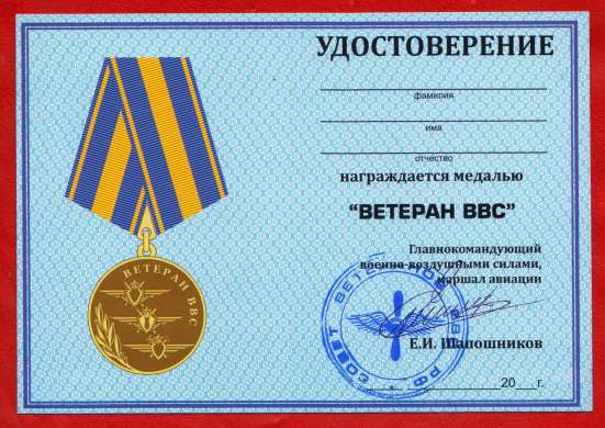 Россия медаль Ветеран ВВС документ военно-воздушные силы в Орле