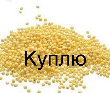 Просо