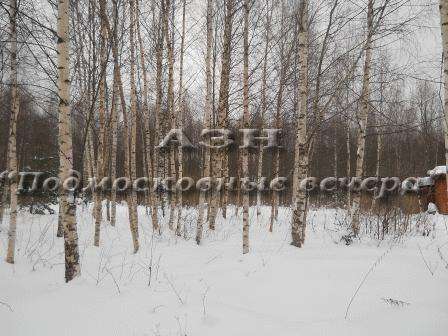 realty_mapper3.plot_in_locationСадовое некоммерческое тов-во. Площадь 10.00 сот.Есть Электричество. в Москве фото 4