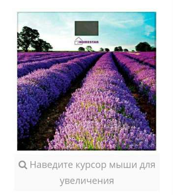 Весы HOMESTAR HS 6001G
