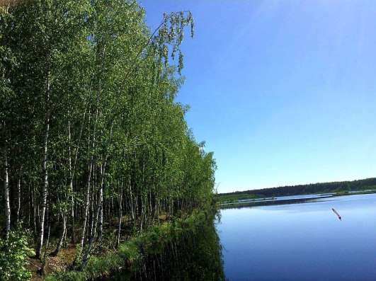 Земельный участок в Владимире фото 3
