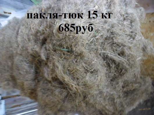 Межвенцовый утеплитель в Томске фото 5