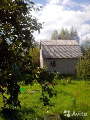 Продам дачу в Костроме фото 12