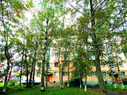 Продам трехкомнатную квартиру в Вологда.Жилая площадь 55  кв.м.Этаж 2.Дом кирпичный. в Вологде фото 4