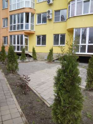 Продажа от собственника