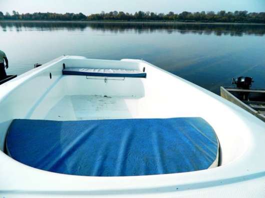 Купить лодку Wyatboat-430 в Твери