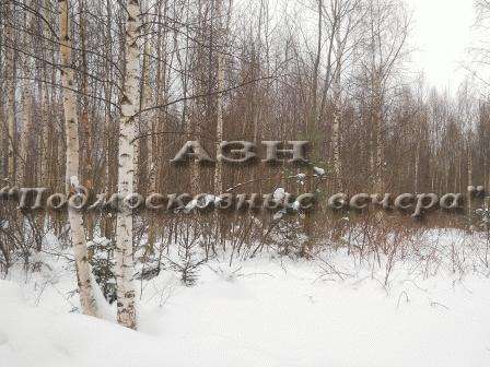 realty_mapper3.plot_in_locationСадовое некоммерческое тов-во. Площадь 10.00 сот.Есть Электричество. в Москве фото 3