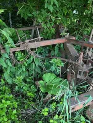 Плуг в Саранске