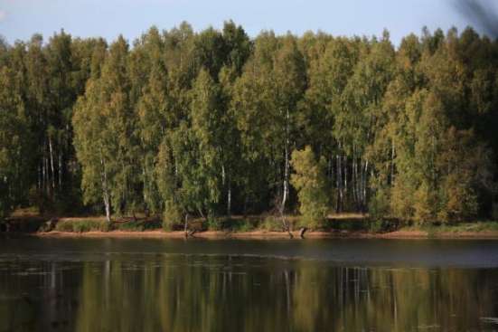 Продажа земли у Рыбинского водохранилища! в Ярославле