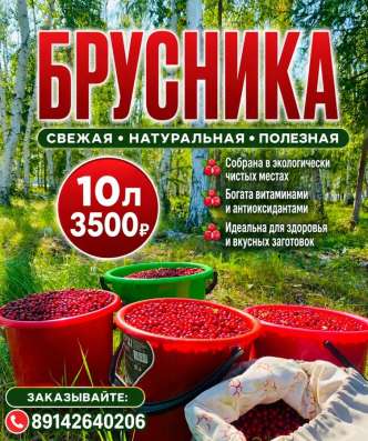 доставка+150