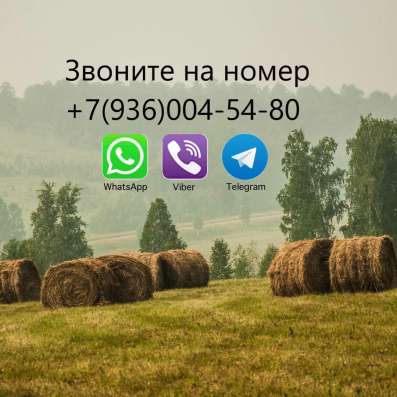Сдается комната у политехникума в Богдановиче фото 7