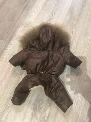 Комбинезон для собаки