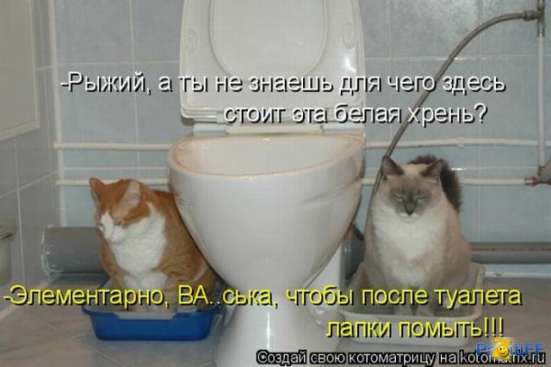 Отдам БЕСПЛАТНО ФИНСКИЙ УНИТАЗ (новый в упаковке)