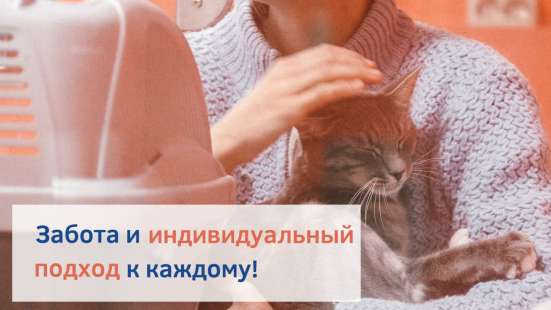 Зоогостиница BookingCat Люберцы/Жулебино в Люберцы фото 35