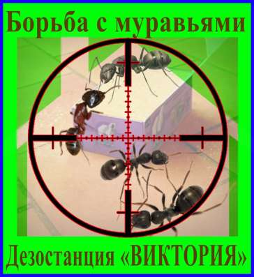 Как избавиться от муравьёв - услуги борьба с муравьями фото 4