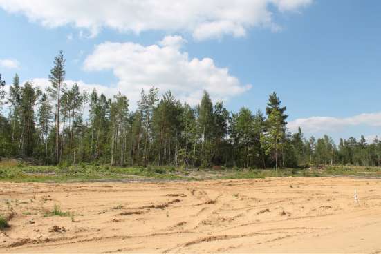 Продажа участка в Электроуглях фото 4