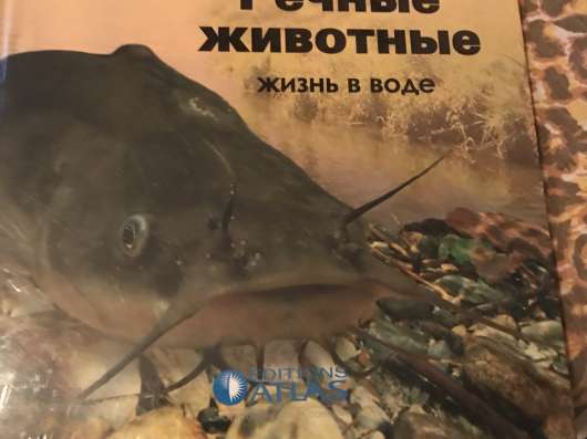 Книги и брошюры для детей в Ивантеевка фото 11