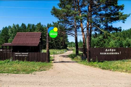 Участок с озером и лесом в Красноярске фото 5