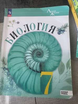 Учебники