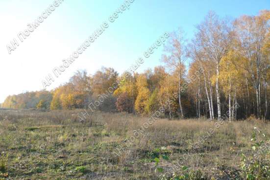 realty_mapper3.plot_in_locationИндивидуальное жилищное ст-во. Площадь 30.00 сот.Есть Газ. в Москве