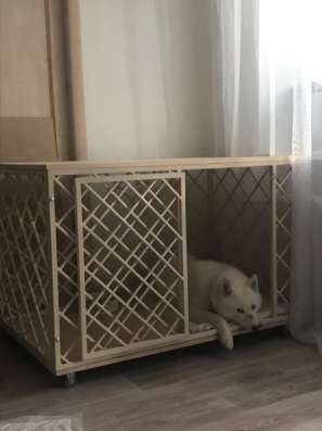 Клетка для крупной породы собак в Тюмени